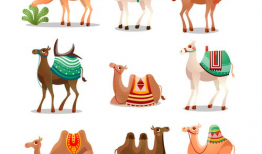 骆驼漫画,幽默与智慧的碰撞